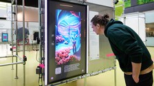 Eine Person betrachtet einen Bildschirm auf dem eine futuristisch aussehende Figur in einer Landschaft zusehen ist, die an den Meeresgrund erinnert. 