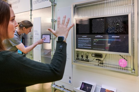 Eine Besucher:in bedient ein interaktives Ausstellungsstück