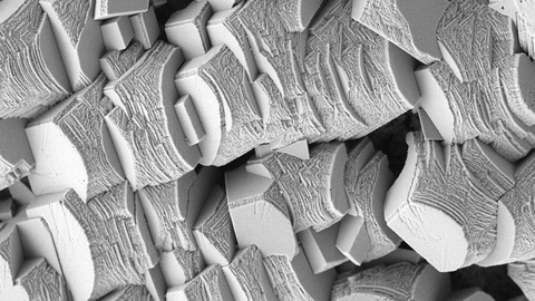 Calcite crystal of sea urchin skeleton