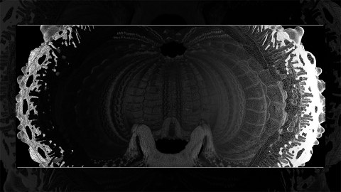 Microscopy pic of Sea urchin endoskeletal analysis_trihedral mesh collage
