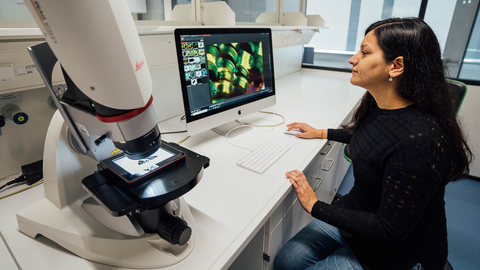 Scientist sitting at a Digital macroscope