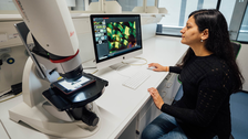 Scientist sitting at a Digital macroscope