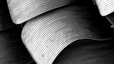 Butterfly scale detail bw