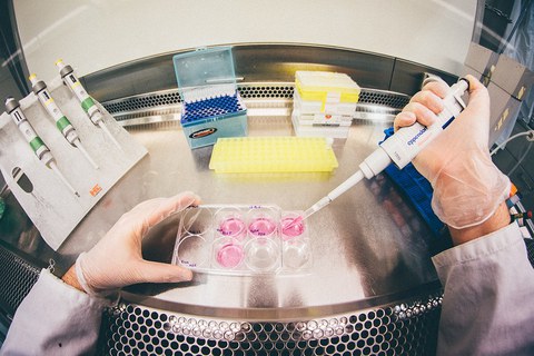 Photo from a first person view: hands in lab coat and gloves are visible inside a glass cabinet. The right hand holds a laboratory pipette, the left one holds a see-through container with pink liquid. There are other objects visible in the background: more laboratory pipettes and boxes.