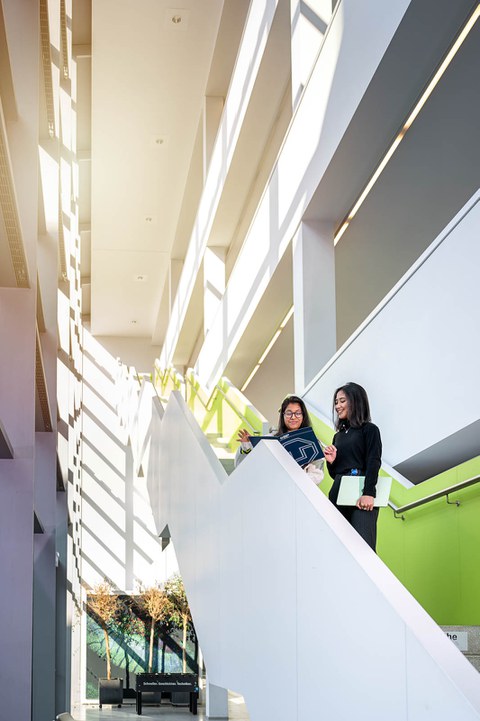 A photo. A three-stories high staircase inside a building. Two people are standing next to each other between the ground floor and the first floor. The person on the left is holding a folder with the TU Dresden logo in their hands. They are both looking at the contents of the folder and having a conversation. Light is coming from the side through a glass wall, illuminating the scene.