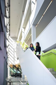 A photo. A three-stories high staircase inside a building. Two people are standing next to each other between the ground floor and the first floor. The person on the left is holding a folder with the TU Dresden logo in their hands. They are both looking at the contents of the folder and having a conversation. Light is coming from the side through a glass wall, illuminating the scene.