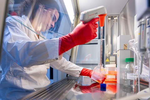 A photo. A person working in a laboratory. His hands are inside a glass cabinet. In one hand he holds a transparent square bottle with orange liquid. In the other hand, he holds an electronic pipette with long glass tip. The person has a concentrated facial expression.