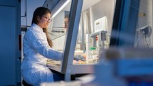 A photo. A person sitting in a laboratory at a cell culture hood. Her hands are inside the glass cabinet. She has a focused face.