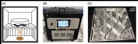 optogenbox-picture
