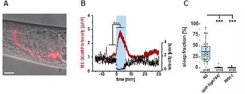 research update 2