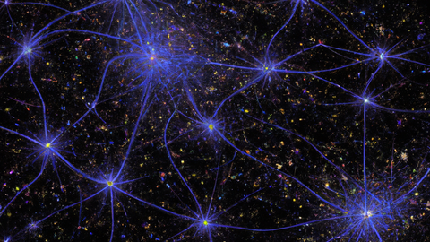 neural net