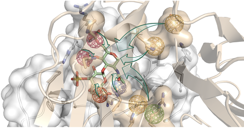 Eine weiße und gelbe Form im Hintergrund. Im Vordergrund ein grün, rot, blaues Stab-Atomgebilde. Teile dieser Struktur sind in rote grüne gelbe blaue kugelartige Netze eingebettet. Die grünen Pfeile zeigen von den Netzen zum Zentrum der Stabatomstruktur.