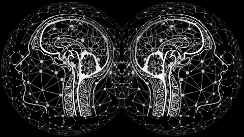 Two white outlines of human heads, on a black background. The heads look in opposite directions. The brain and its nerve tracts and connections towards the spinal cord are recognizable and drawn as thin white lines. In front and behind the heads is a texture consisting of a network of white dots connected to each other with lines.