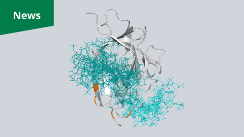 A digital visualization. Centered on a light grey background is a complex arrangement of thick, light grey ribbons that fold and loop. A large section of these ribbons is covered by a dense, bushy cluster of thin, turquoise, thread-like lines. A few small segments of the grey ribbons are colored orange. In the upper left corner, there is a green rectangular banner containing the white word "News.