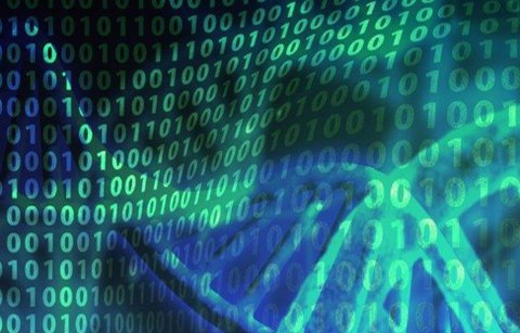 Bioinformatic Image