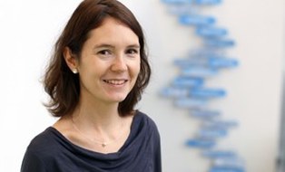 Anke Fuchs