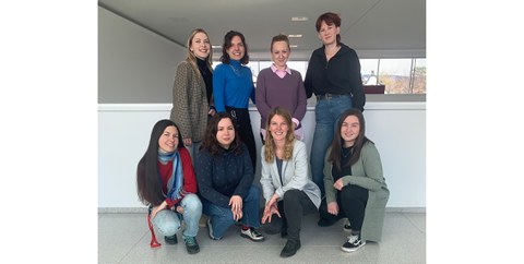Knopf lab