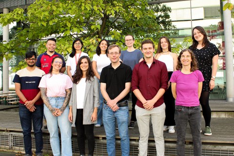 The 12 members of the Sterneckert research group standing in 2 rows of 6 people each in front of a tree.