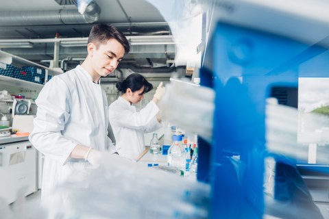 Ein Foto. Zwei Personen in Kitteln. Die Person Vordergurnd arbeitet auf einem Tisch der vor beiden Presonen steht. Die Person dahinter abeitet mit einer Pipette, ungefähr auf Kopfhöhe. Im Hintergrund ist ein Teil des Labors zu sehen.