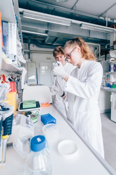 Ein Foto. Zwei Personen in Kitteln. Eine Person arbeitet mit einer Pipette, ungefähr auf Brusthöhe. Die zweite Person schaut gespannt über die rechte Schulter zu. Vor den zwei Personen steht ein Tisch mit vielen Forschungsutensilien, zudem hängt ein Schrank über dem Tisch mit weitern Forschungsutensilien.