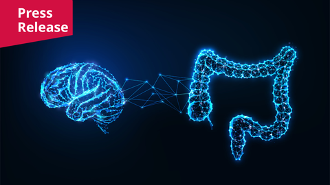 A digital visualization. Against a dark blue gradient background, two complex structures resembling a brain on the left and an intestinal tract on the right glow in a bright, neon-blue wireframe pattern. Both shapes are constructed from a web of interconnected glowing lines and small dots. Connecting the right side of the brain-like shape to the left side of the intestinal-like shape is a loose, horizontal bridge made of similar geometric lines. Tiny, sparkling light points are scattered around the edges of the structures.