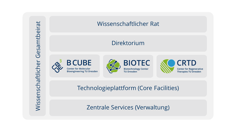 CMCB Verwaltung Übersicht DE