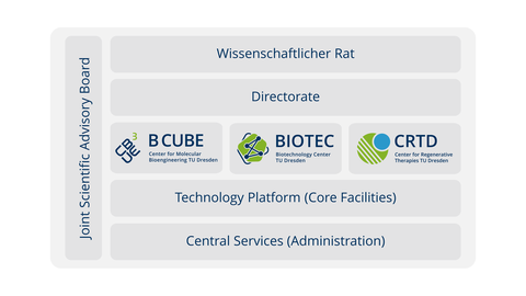 CMCB Administration Overview