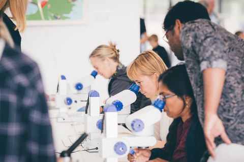 A photo of three people sitting at a long table and looking through microscopes.