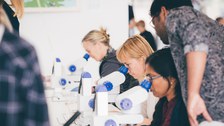 A photo of three people sitting at a long table and looking through microscopes.