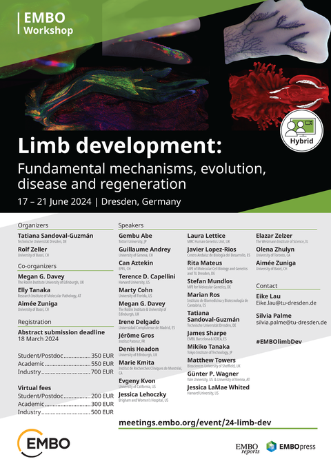 EMBO workshop poster. Link to full description: https://tud.link/knk2j7