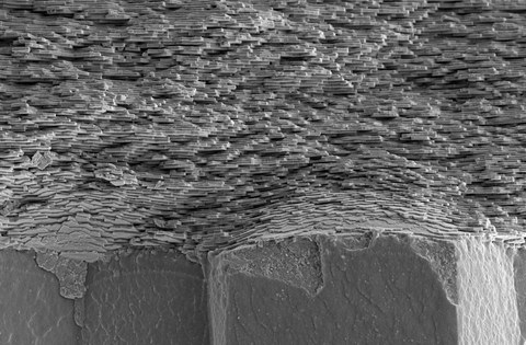 Black and white tomography image of the mother-of-pearl structure. The structure looks a little bit like uneven wall of bricks