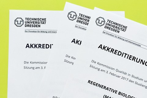 Reakkreditierung