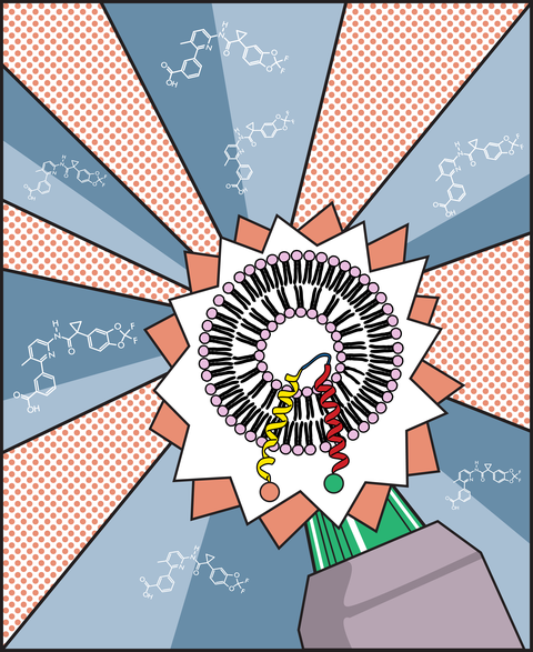 CFTR protein