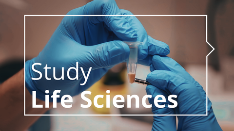 A close-up photo. Hands in blue gloves hold a small plastic laboratory tube. On top of the photo, there is a white rectangle. Inside the rectangle there is a text: "Study Life Sciences".