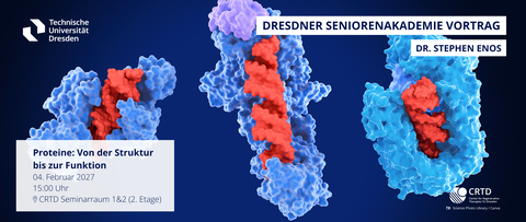 A colorful, animated image of three proteins arranged side by side. The proteins are red and blue.