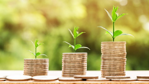 Plants growing out of small coin towers