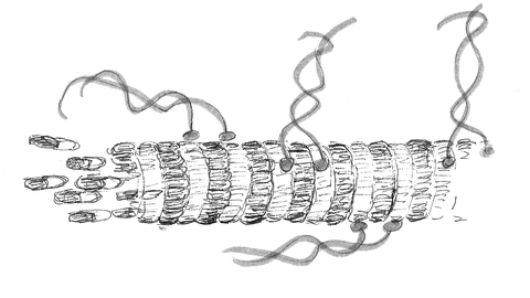 Zeichnung BioNanoTools