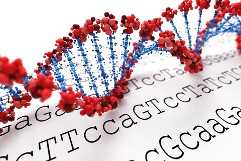 Deep Sequencing Facility 