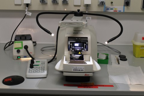 Vibratome