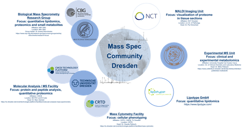 The picture shows the Logo of the Mass Spec Community Dresden