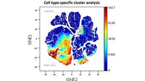 Visualization of CD25 expression level in different blood cell populations with t-distributed stochastic neighbor embedding (t-SNE) techique.