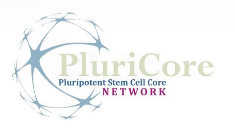 Logo des PluriCore Netzwerkes