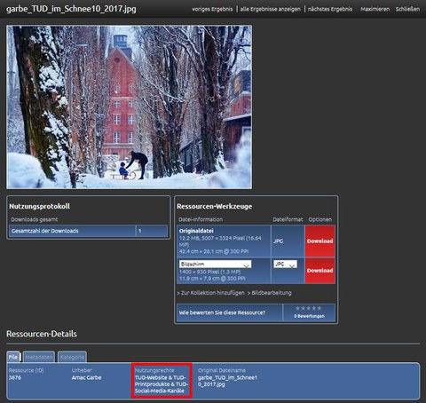Screenshot Detailansicht Bild im Bildpool, Feld Nutzungsrechte hervorgehoben