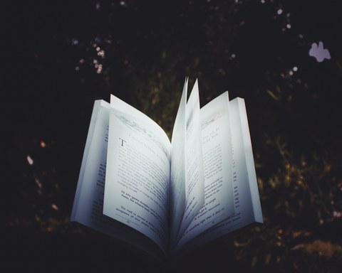 Aufgeschlagenes Buch