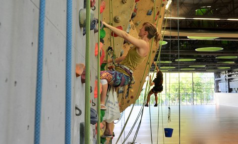 In der Sporthalle werden Klettergriffe ausgetauscht.