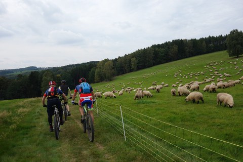 20. Jubiläum