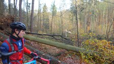 Pfefferkuchentour 2017
