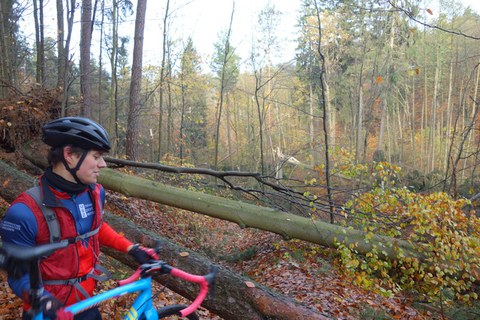 Pfefferkuchentour 2017