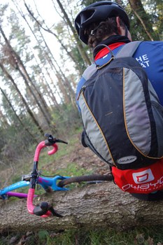 Pfefferkuchentour 2017