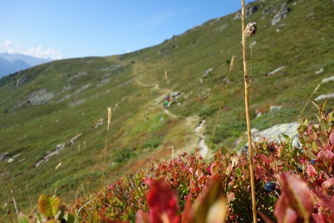 Bikecamp Davos